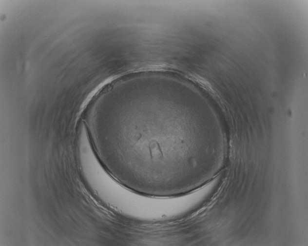 X0000061751212200512091627