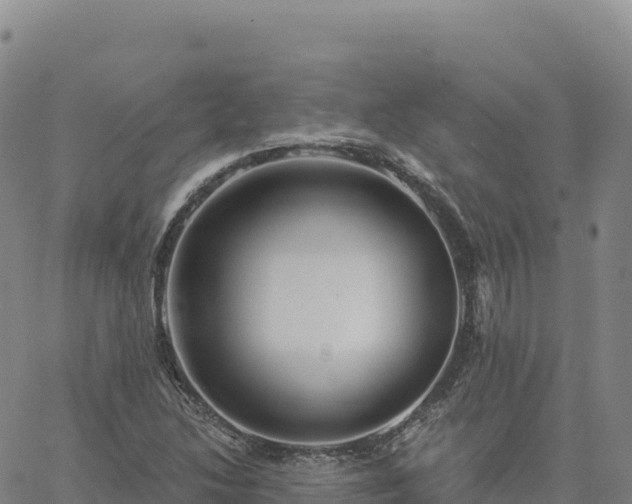 X0000061751214200512091627