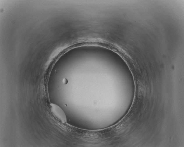 X0000061751215200512091627