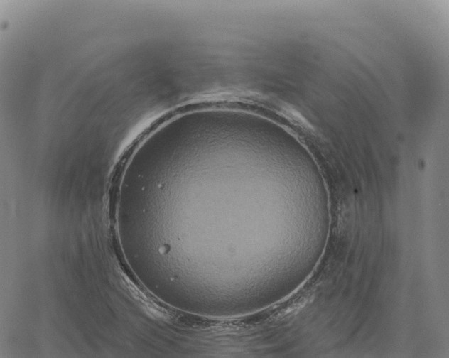 X0000061751216200512091627