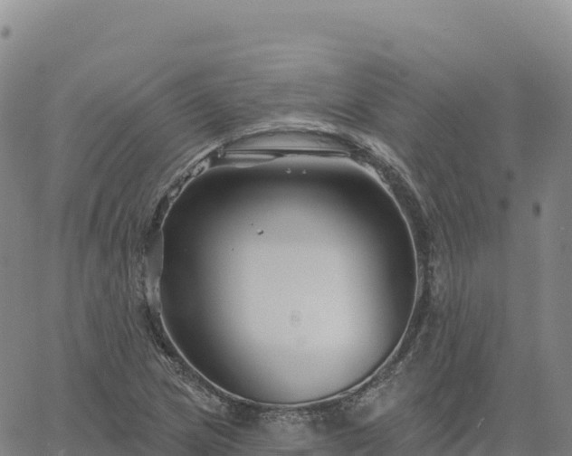 X0000061751217200512091627