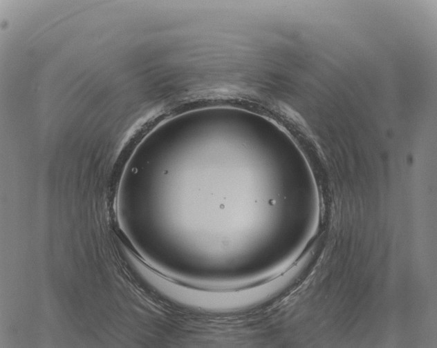 X0000061751218200512091627