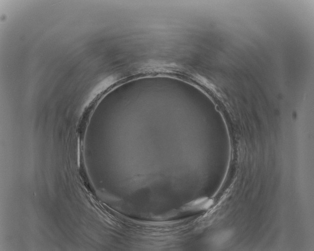 X0000061751219200512091627