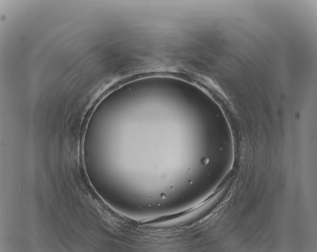 X0000061751220200512091627