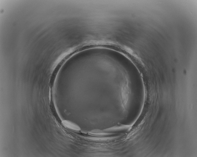 X0000061751221200512091627