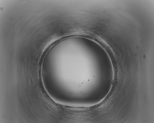 X0000061751222200512091627