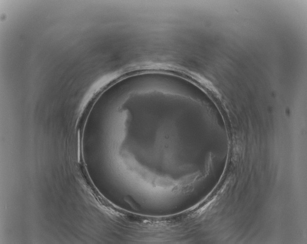 X0000061751223200512091627