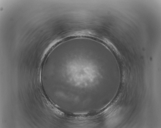 X0000061751224200512091627