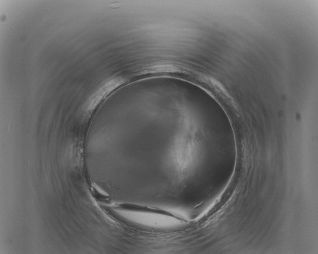 X0000061751225200512091627