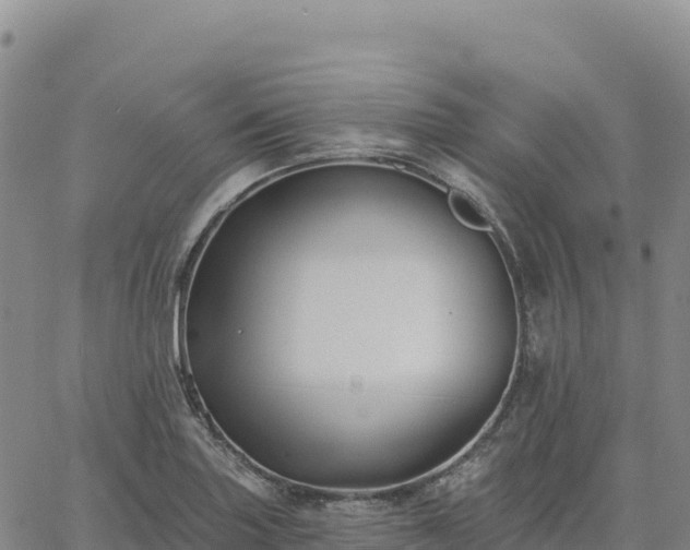 X0000061751227200512091627