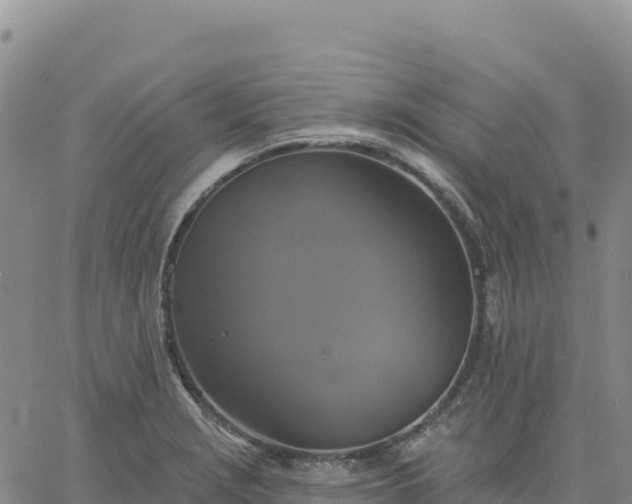 X0000061751229200512091627