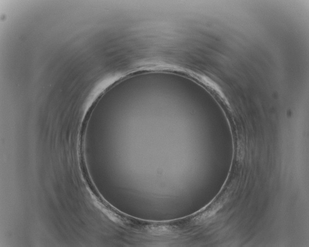 X0000061751231200512091627