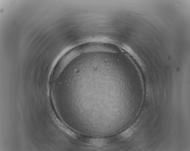 X0000061751232200512091627