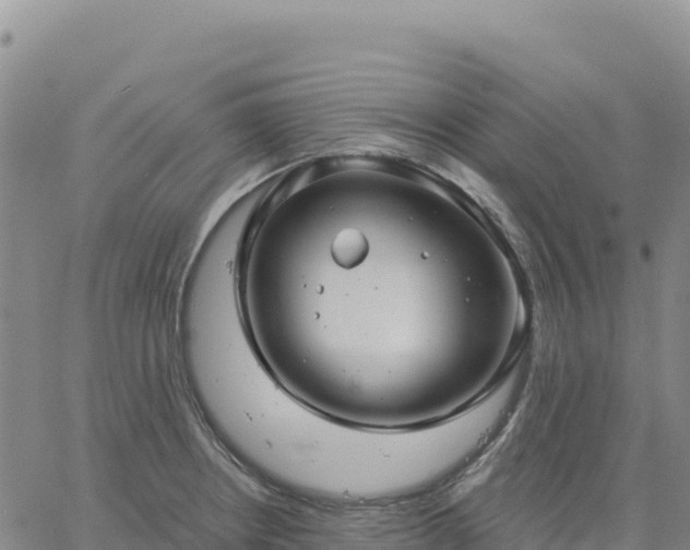 X0000061751234200512091627