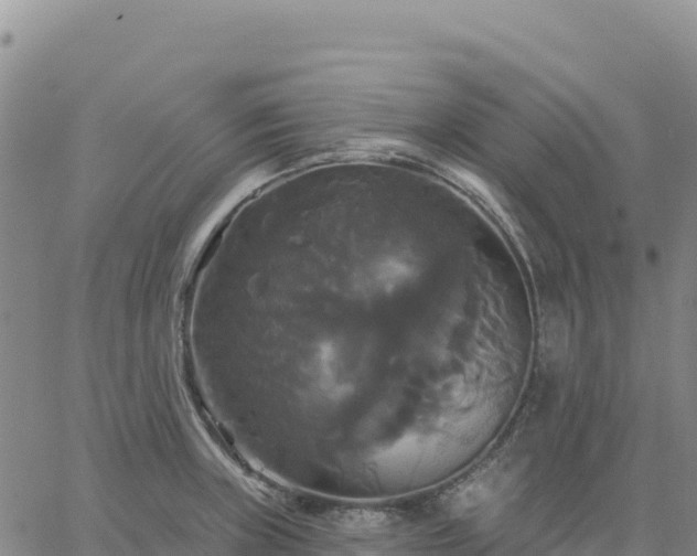 X0000061751235200512091627