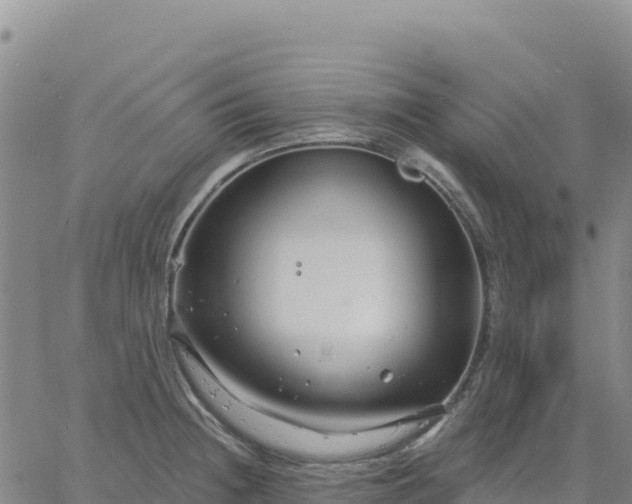 X0000061751236200512091627