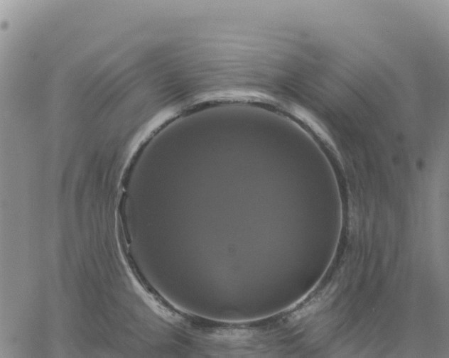 X0000061751237200512091627