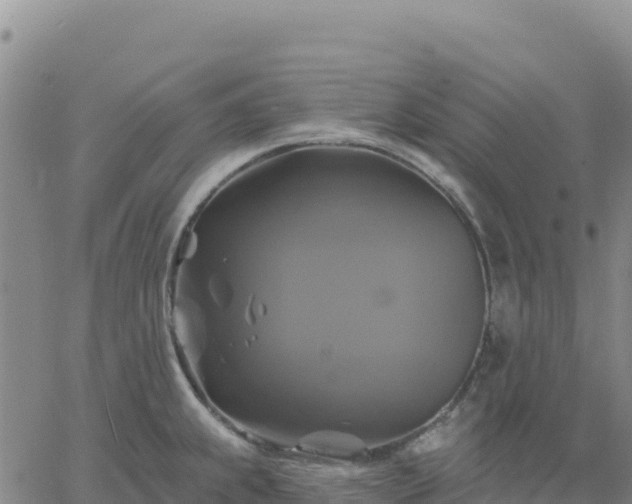 X0000061751239200512091627