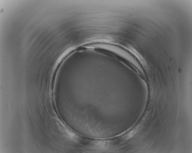 X0000061751240200512091628