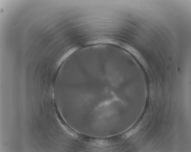 X0000061751241200512091628