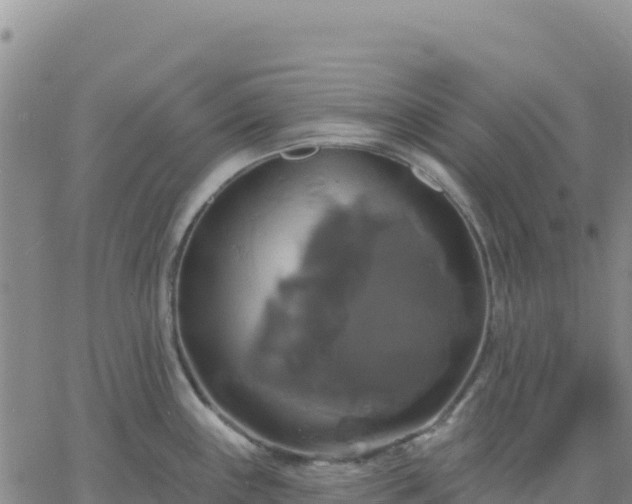 X0000061751243200512091628