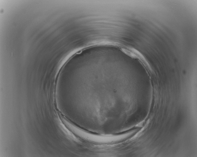 X0000061751244200512091628