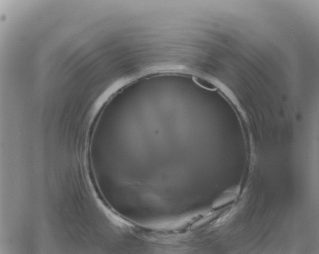 X0000061751245200512091628