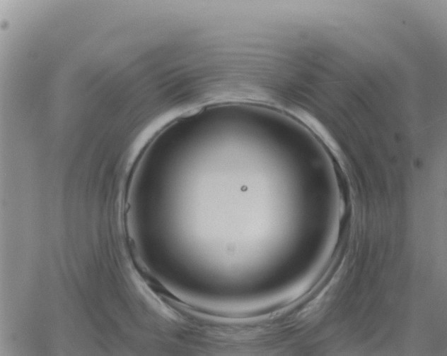 X0000061751246200512091628