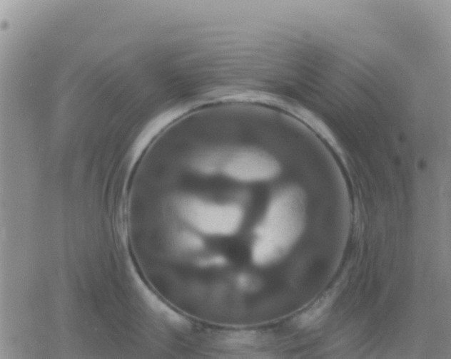 X0000061751247200512091628