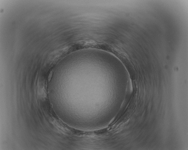 X0000061751250200512091627