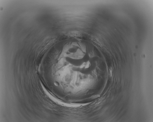 X0000061751251200512091627