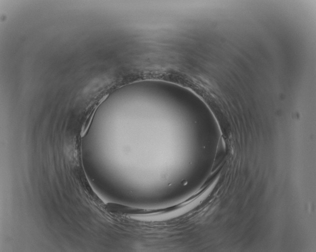 X0000061751252200512091627