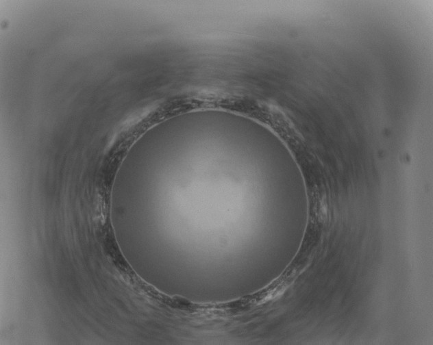 X0000061751253200512091627