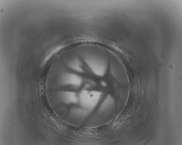 X0000061751255200512091627