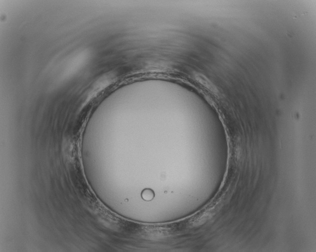 X0000061751258200512091627