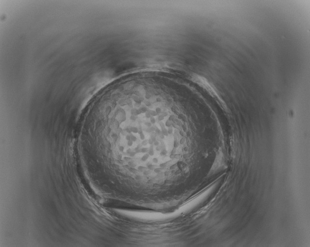 X0000061751260200512091627