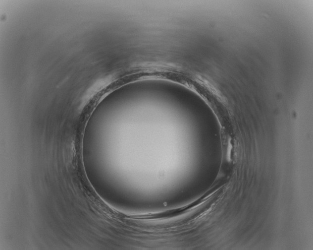 X0000061751261200512091627