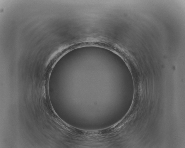 X0000061751262200512091627