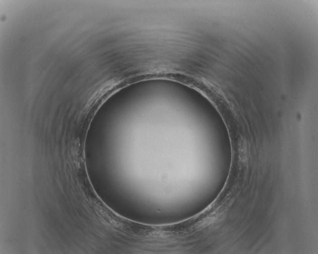 X0000061751265200512091627