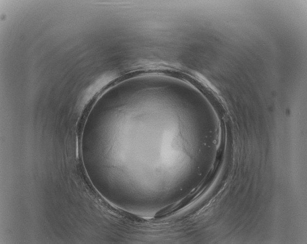 X0000061751269200512091627