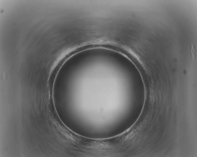 X0000061751270200512091627