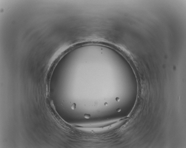 X0000061751271200512091626