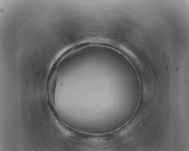 X0000061751272200512091626