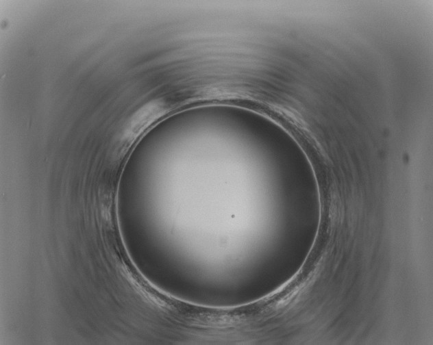 X0000061751273200512091626