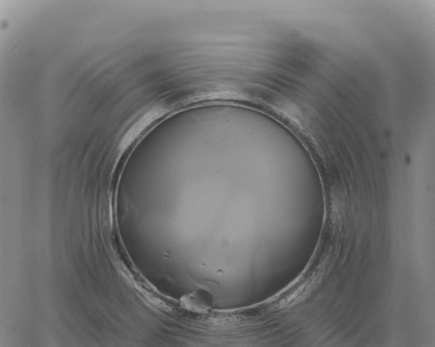 X0000061751274200512091626