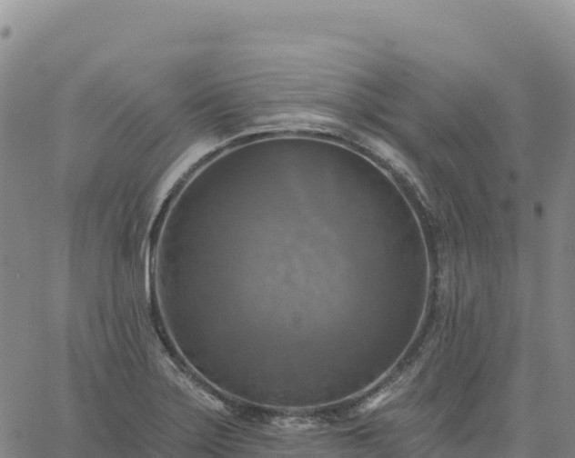 X0000061751275200512091626