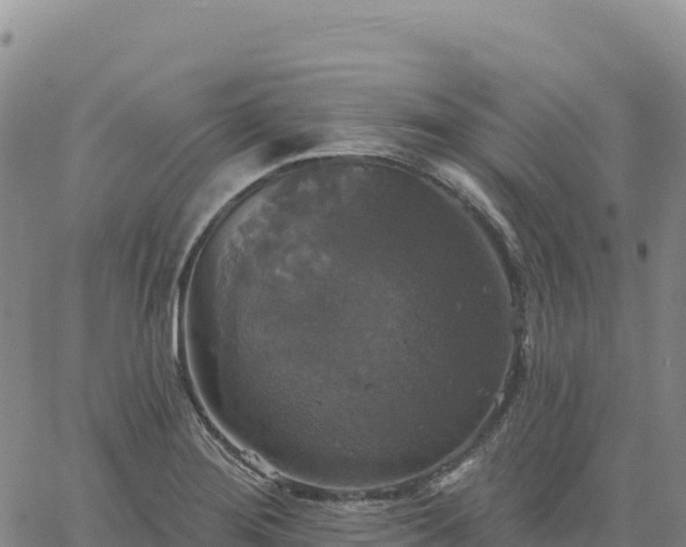 X0000061751276200512091626