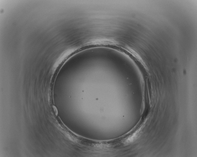 X0000061751277200512091626