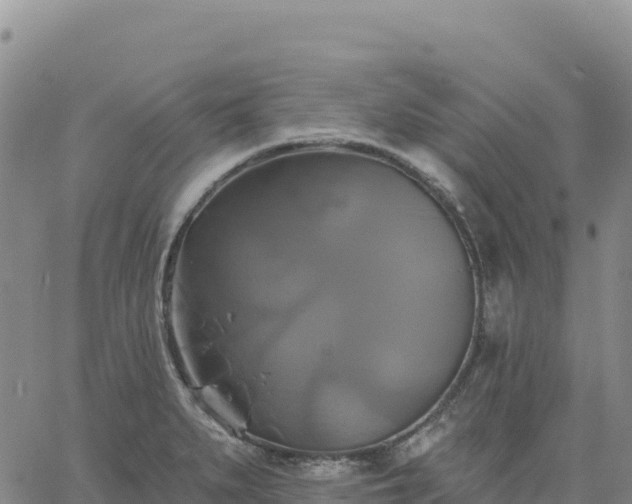 X0000061751279200512091626