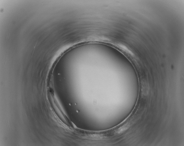 X0000061751280200512091626